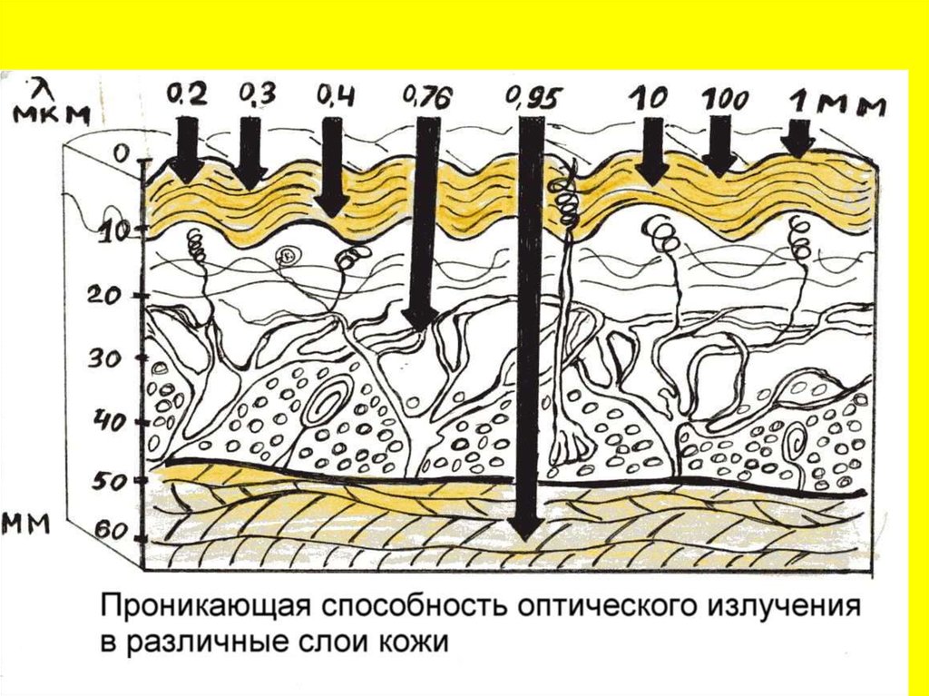 Разные слои. Глубина проникновения инфракрасного излучения. Проникающая способность волн. Проникающая способность оптического излучения. Проникающая способность УФ-лучей.