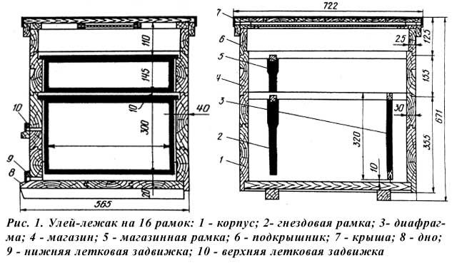 Как своими руками сделать улей для пчел своими руками чертежи видео