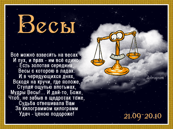 Как должны выглядеть весы