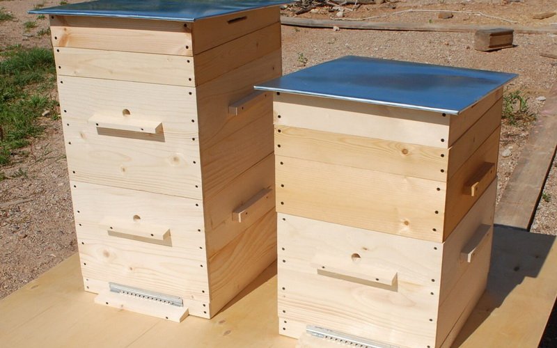 В каких ульях лучше содержать пчел начинающим пасечникам?