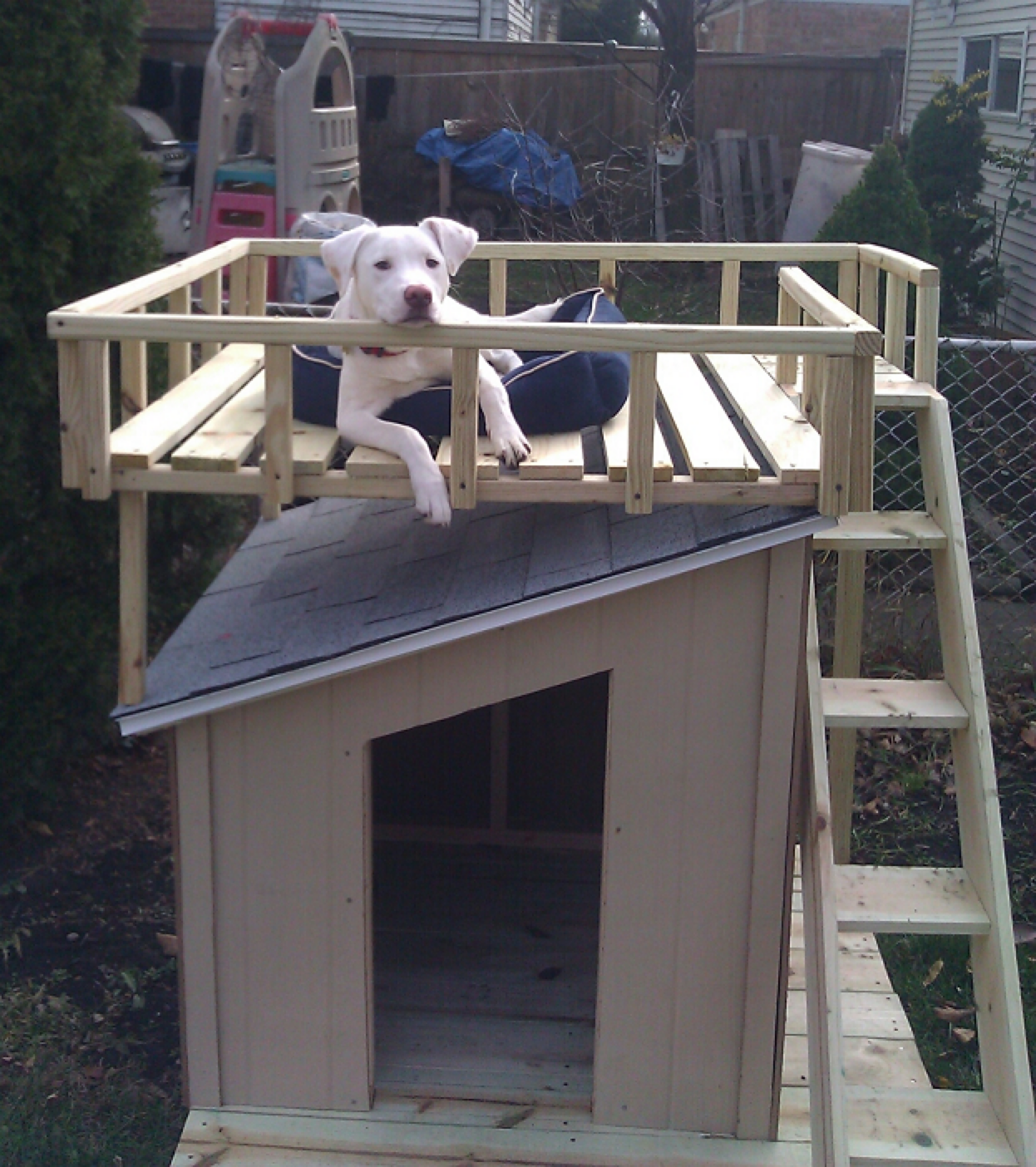 Как построить будку для собаки своими руками. Собака с конурой. Будка для собаки. Красивые будки для собак. Двухэтажные домики для собак.