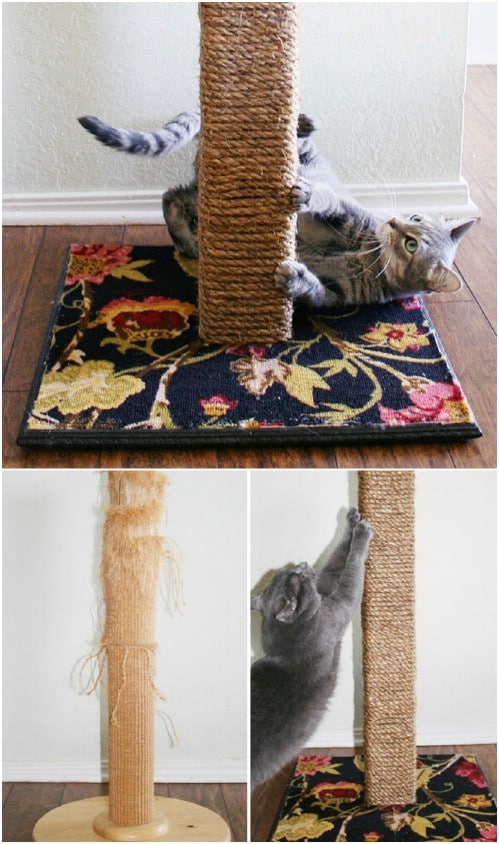 DIY Upcycled Carpet Scratching Post