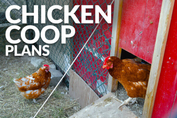 chicken coops