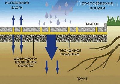 Поддержание естественной среды под плиткой почвы на участке