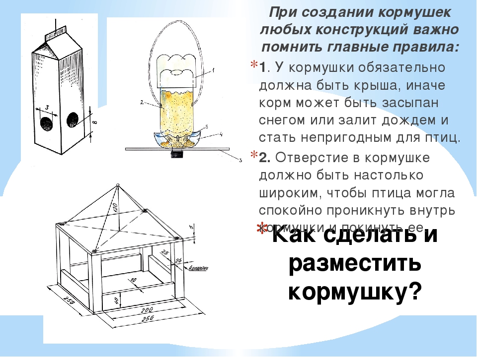 Чертеж кормушки для птиц из пластиковой бутылки