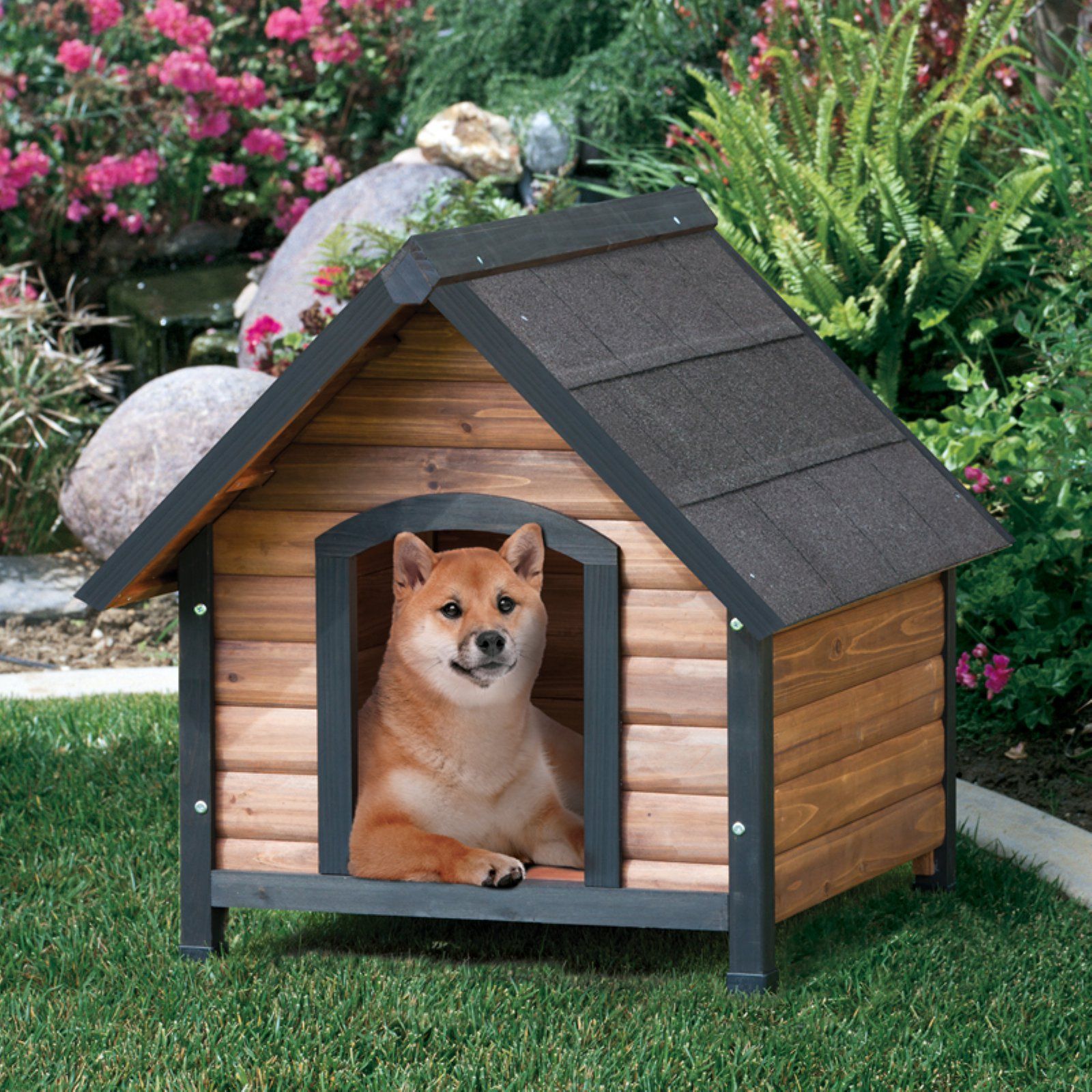 Dog house. Собачья конура будка. Конура собак Dog House. Домик конура для собак. Будка конура для собаки.