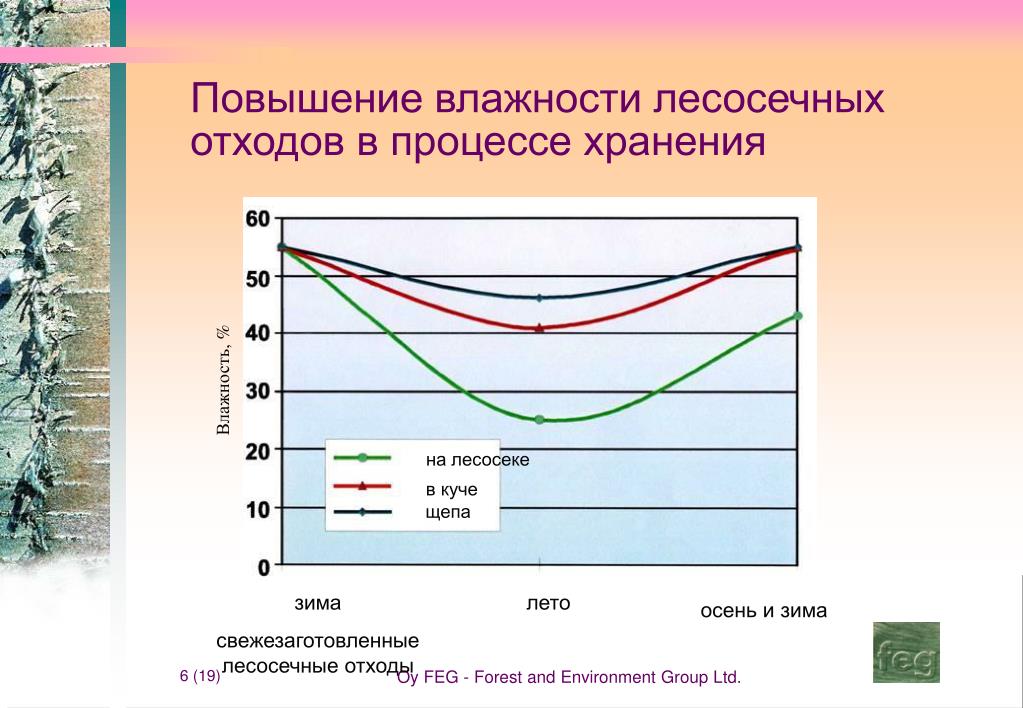 Повышенная влажность летом