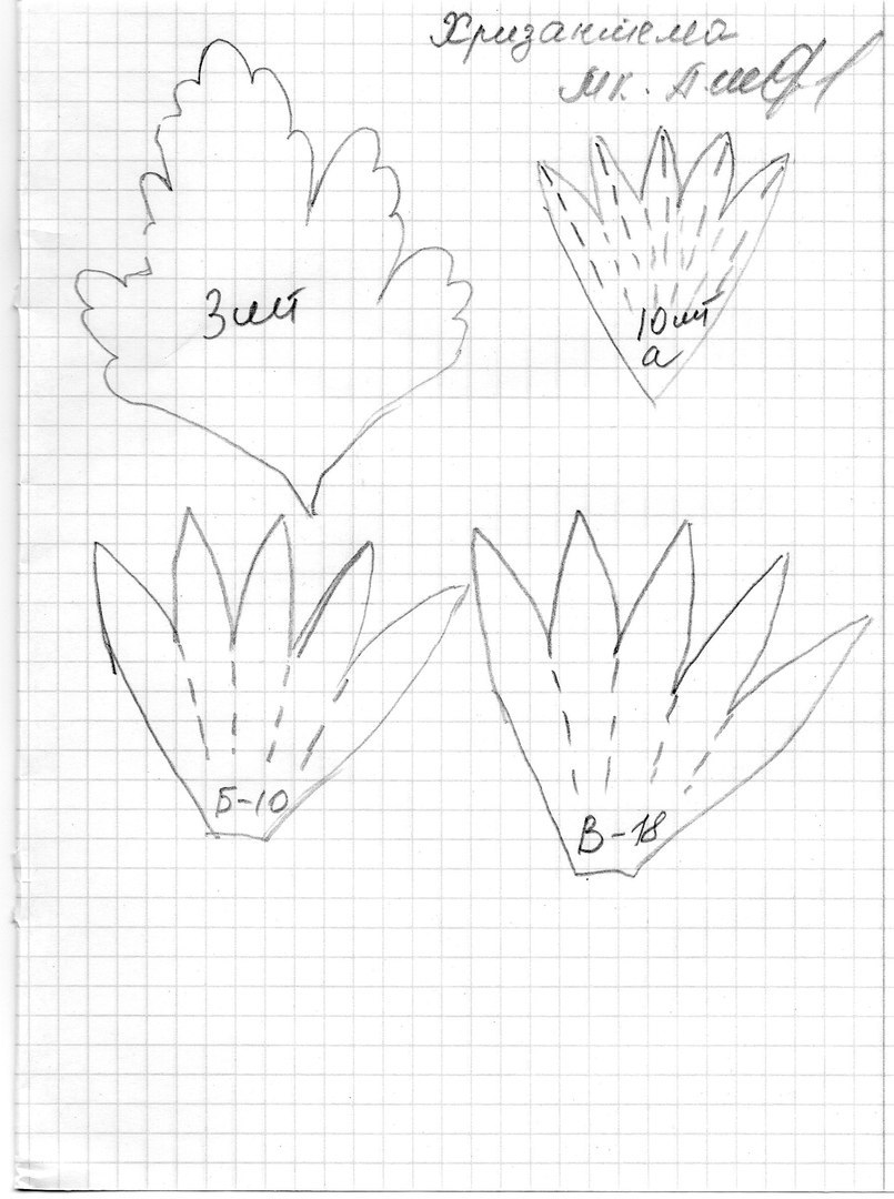 Ирисы из фоамирана своими руками схемы шаблоны