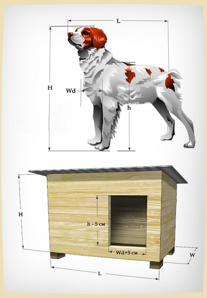  для собаки размеры и чертежи: чертежи и размеры, этапы сборки .