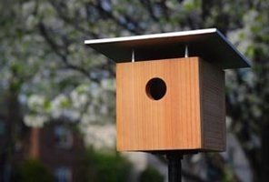 How to make a bird house.