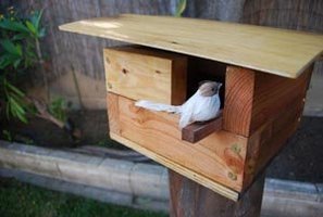 Modern Birdhouse