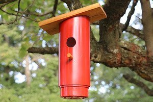 Blue Bird Nest Box Plans (Approved PVC Birdhouse Design)