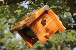 Cute DIY Wooden Bird Box